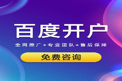 成功案例：网络推广与竞价广告的完美结合